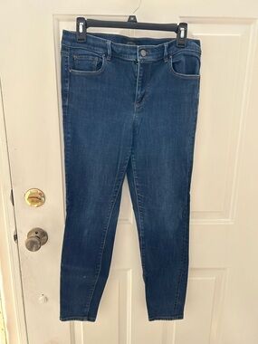 Ann Taylor The Skinny Modern Fit Jeans size 10